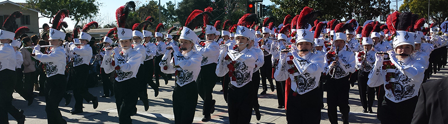 Click <a href='TOR.html'>Here</a> for info on Cavalcade of Bands TOR DVD